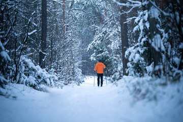 Człowiek na nartach biegowych w zimowym lesie - obrazy, fototapety, plakaty