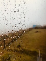 Rain water drops on window