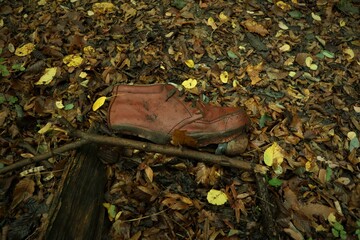 Old and defective shoe dropped in forest