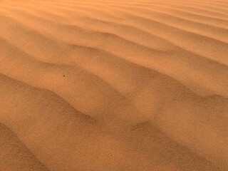 Wahiba sands desert, Oman
