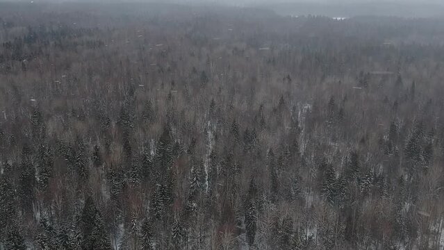 Slowly pan Footage in a Blizzard with Heavy Snow inside Gates of the Arctic National Park