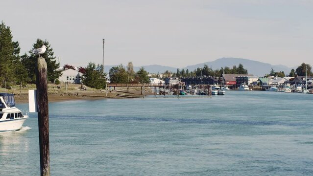 Boat travels towards La Conner WA through the Swinomish Channel -Seagull on Pylon Sunny Day Scene