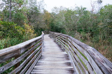 Beautiful winter landscape in New Tampa area