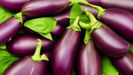 eggplants on a white background