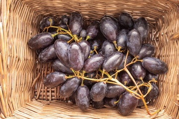 One bunch of juicy organic black grapes in a vine basket, close-up, top view.