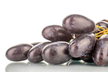Several berries of black grapes, close-up, isolated on white.