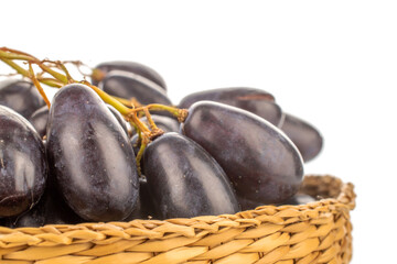 One bunch of black grapes in a straw plate, close-up, isolated on white.