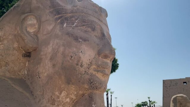Esfinge de la avenida de esfinges del templo de Luxor.