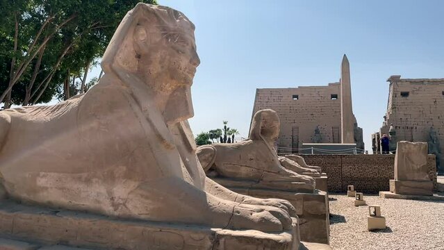 Esfinge de la avenida de esfinges del templo de Luxor.