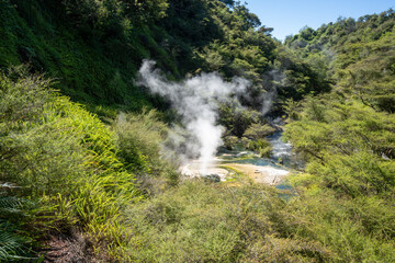 Naklejka na ściany i meble Steam rising at waimangu volcanic valley in Rotorua New Zealand