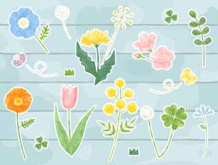 チューリップやタンポポ・桜などの春の花のイラストのセット 白フチ付きバージョン