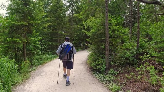 Hiker with backpack and photo gear walking at hiking trail in fir tree green summer forest at sunny day. Bruce Peninsula National Park, Ontario, Canada.