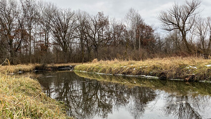 Creek in the Marsh Early Winter