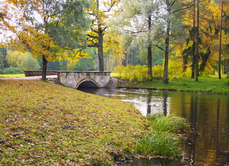 Autumn day in the park. Golden autumn.