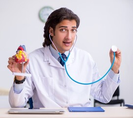 Young doctor cardiologist with heart model
