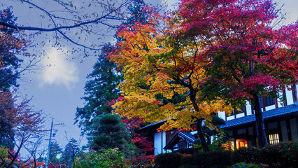 traditional Japanese room open to view of beautiful colorful view