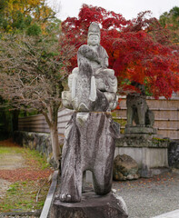 日本の秋景色。
色とりどりの自然の草花。
心癒される自然。

Autumn scenery of Japan.
Colorful natural flowers and grasses.
Nature that soothes the soul.