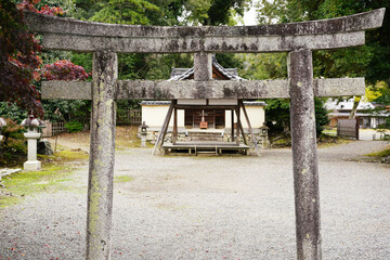 日本の秋景色。
色とりどりの自然の草花。
心癒される自然。

Autumn scenery of Japan.
Colorful natural flowers and grasses.
Nature that soothes the soul.