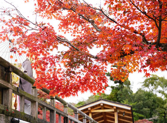 日本の秋景色。
色とりどりの自然の草花。
心癒される自然。

Autumn scenery of Japan.
Colorful natural flowers and grasses.
Nature that soothes the soul.
