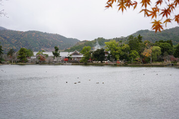 日本の秋景色。
色とりどりの自然の草花。
心癒される自然。

Autumn scenery...