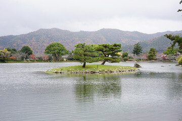 日本の秋景色。
色とりどりの自然の草花。
心癒される自然。

Autumn scenery of Japan.
Colorful natural flowers and grasses.
Nature that soothes the soul.