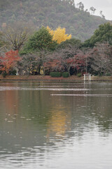 日本の秋景色。
色とりどりの自然の草花。
心癒される自然。

Autumn scenery of Japan.
Colorful natural flowers and grasses.
Nature that soothes the soul.