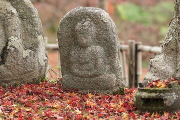 日本の秋景色。
色とりどりの自然の草花。
心癒される自然。

Autumn scenery of Japan.
Colorful natural flowers and grasses.
Nature that soothes the soul.