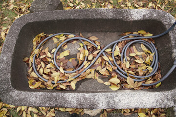 日本の秋景色。
色とりどりの自然の草花。
心癒される自然。

Autumn scenery of Japan.
Colorful natural flowers and grasses.
Nature that soothes the soul.