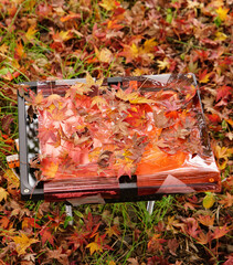 日本の秋景色。
色とりどりの自然の草花。
心癒される自然。

Autumn scenery of Japan.
Colorful natural flowers and grasses.
Nature that soothes the soul.