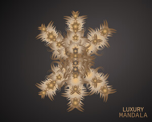 Obraz premium Luxury mandala background with golden arabesque pattern Arabic Islamic east style. Ramadan Style Decorative mandala. Mandala for print, cover poster, brochure, flyer, banner and etc