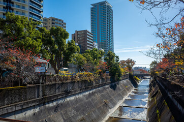 神戸市の異人館街と超高層ビル