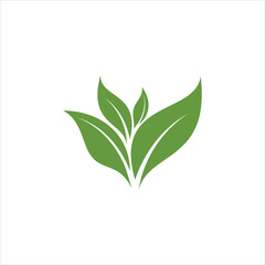 green leaf icons design template vector	