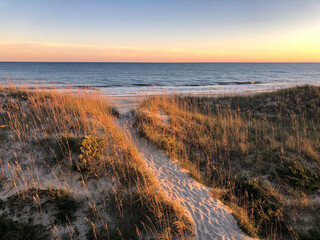 Path over the dune at sunrise