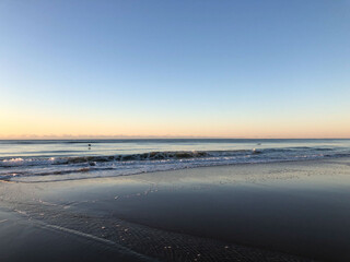 Ocean sunrise with low bird