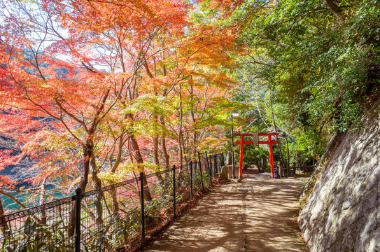 Speisenatron Bilder Durchsuchen 17 972 Archivfotos Vektorgrafiken 