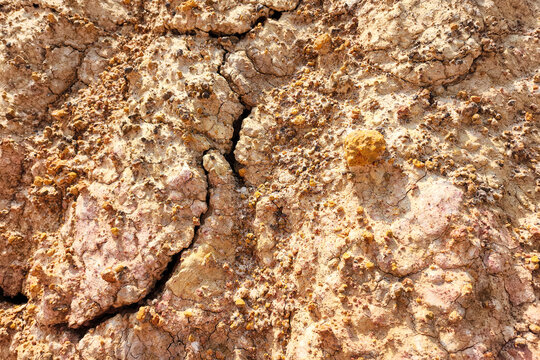 Dirt, terrain or gravel stone road cracked surface, Arid environmental global warming disaster. Nature background and texture photo.