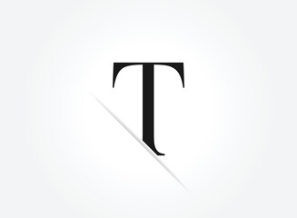 Letter T icon alphabet symbol. Letter T logo icon design vector sign.