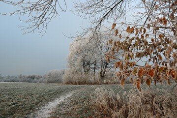 Märchenhafte Naturlandschaft bei Raureif im Winter