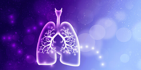 Healthy Human Lungs 2d illustration
