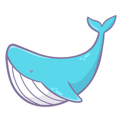 whale illustration