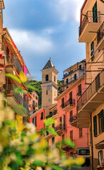 Traditional houses in Manarola in Cinque Terre on the Mediterranean Sea, Italy