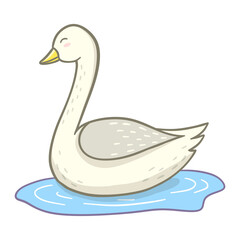 swan on the water