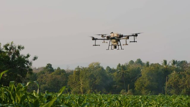 smart farming innovation, agriculture drone fly spraying fertilizer on green corn field in countryside of Thailand, agricultural industrial technology, slow motion
