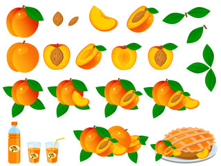 Vector image of a peach. The concept of healthy food and fresh fruit. Juicy fruits, peach snacks, vegetarian dishes.