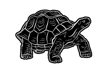 Animals. Image of a turtle. Black and white drawing, Vector image.