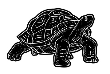 Animals. Image of a turtle. Black and white drawing, Vector image.