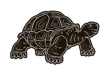 Animals. Image of a turtle. Black and white drawing, Vector image.