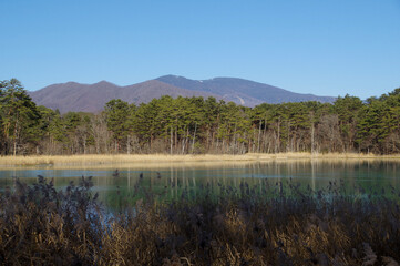 晩秋の快晴の下で水をたたえる弁天沼