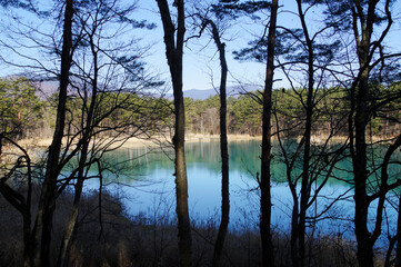 遊歩道の木立の中から見た弁天沼