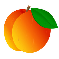 Vector image of a peach. The concept of healthy food and fresh fruit. Juicy fruits, peach snacks, vegetarian dishes.